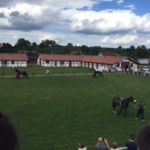 15 sierpnia 2016 r. Krakowski Tor Wyścigów Konnych, zdj. 3